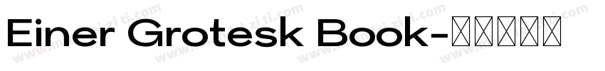 Einer Grotesk Book字体转换